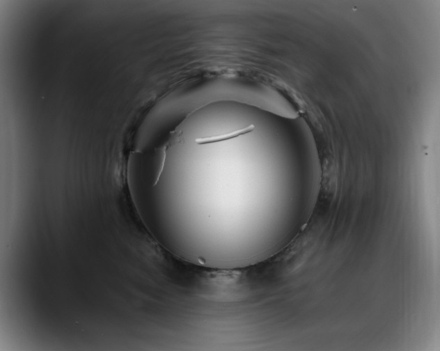 X0000090610474200707171420