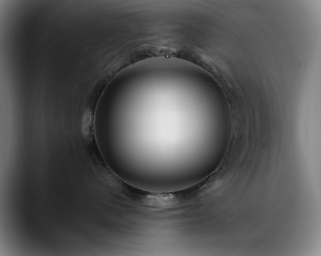 X0000090610480200707171420