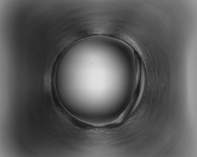 X0000090610482200707171419