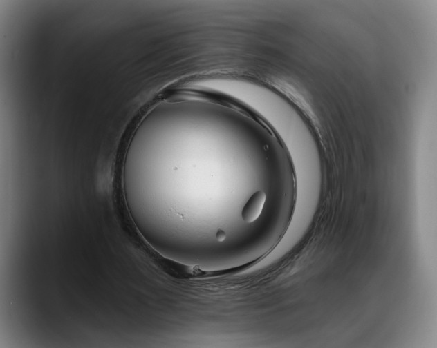X0000090610483200707171419