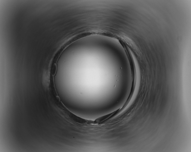 X0000090610484200707171419