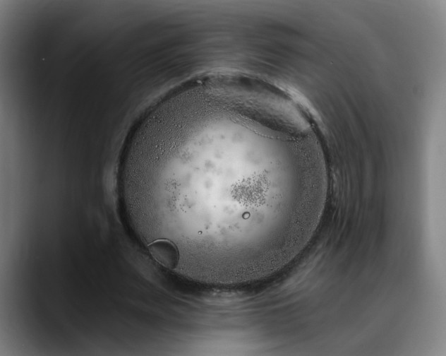 X0000090610487200707171419