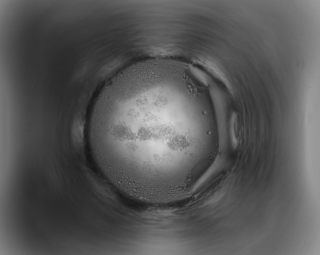 X0000090610491200707171419