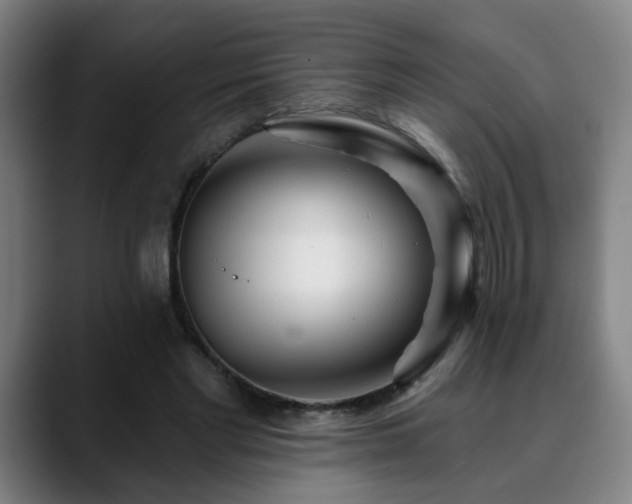 X0000090610493200707171419