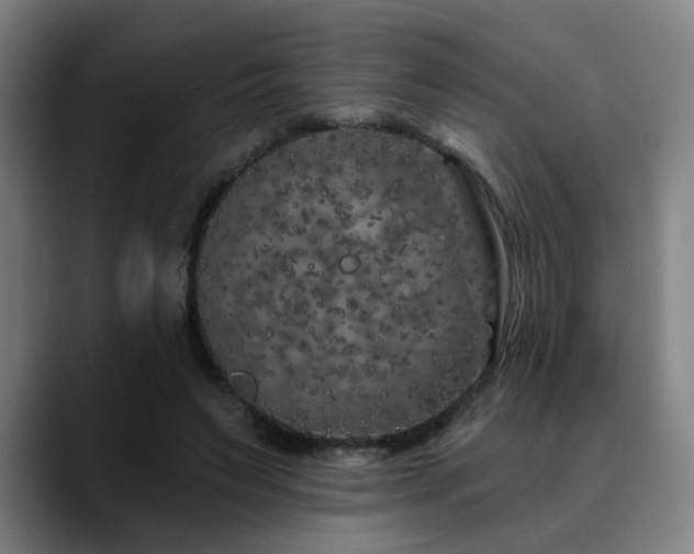 X0000090610495200707171419
