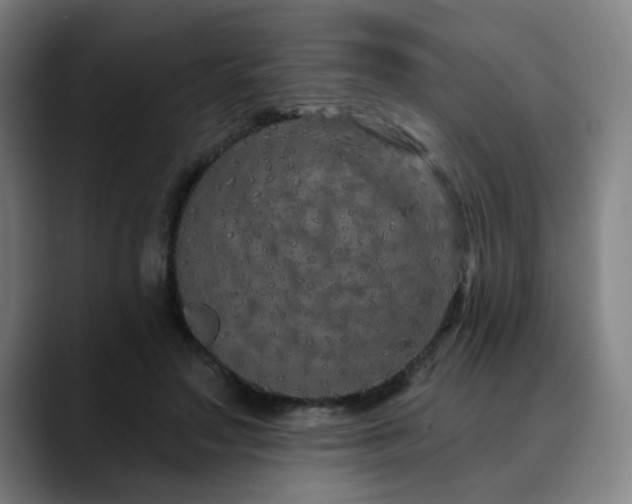 X0000090610499200707171419