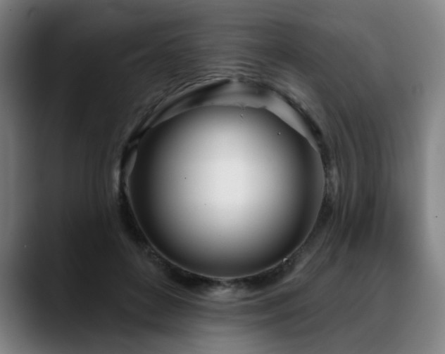 X0000090610504200707171419