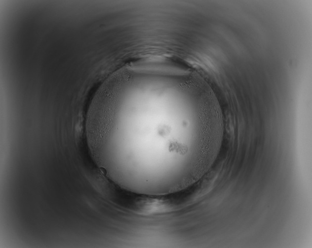X0000090610507200707171419
