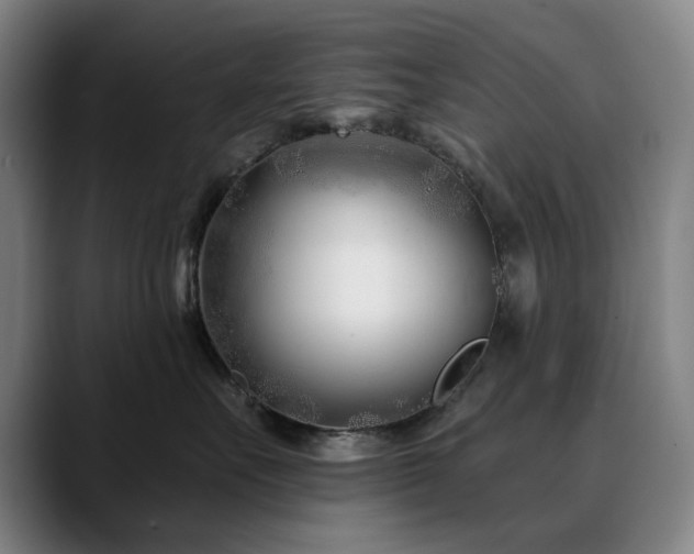 X0000090610527200707171419