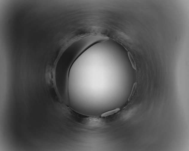 X0000090610528200707171419