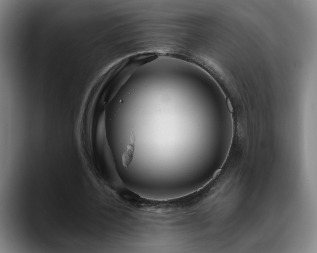 X0000090610532200707171418