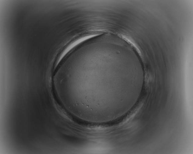 X0000090610533200707171418