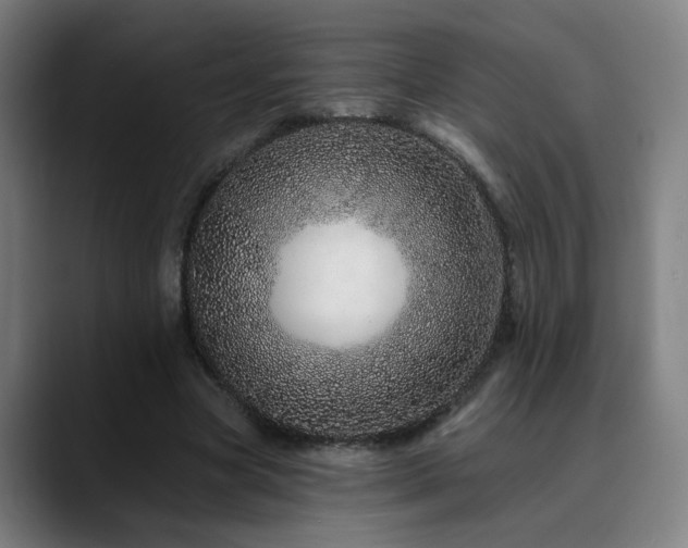 X0000090610537200707171418