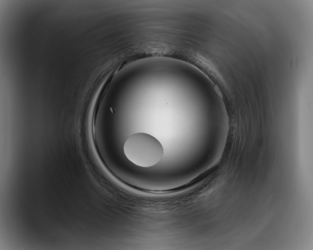 X0000090610538200707171418