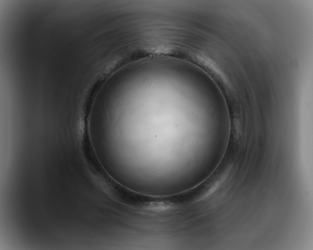 X0000090610541200707171418