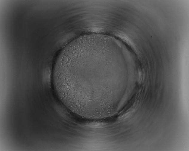 X0000090610542200707171418