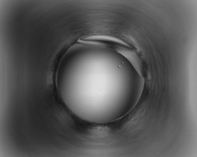 X0000090610543200707171418