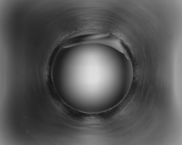 X0000090610544200707171418