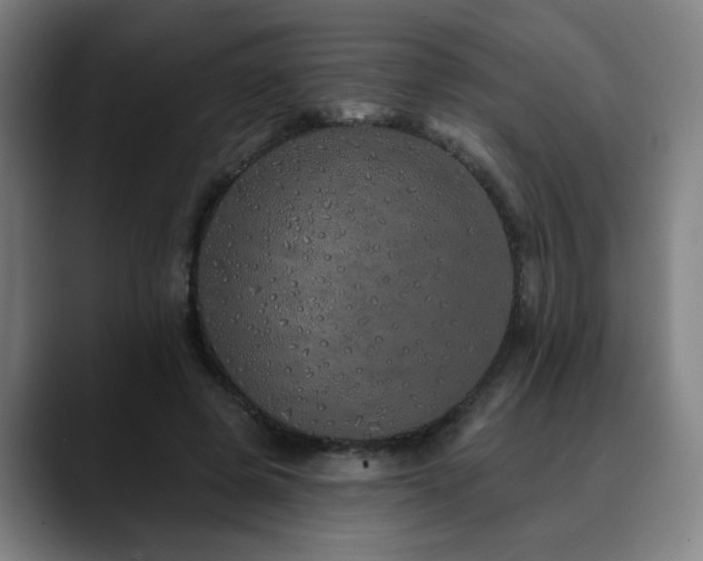 X0000090610545200707171418