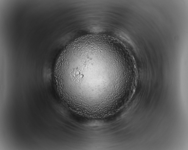X0000090610549200707171419