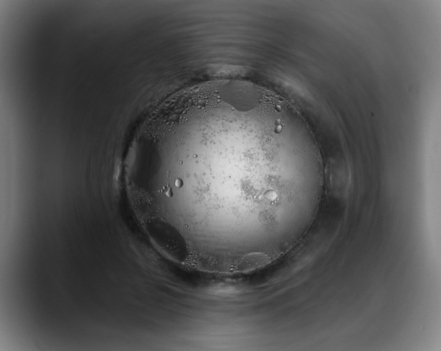 X0000090610550200707171419