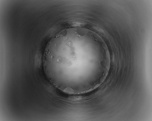 X0000090610554200707171419