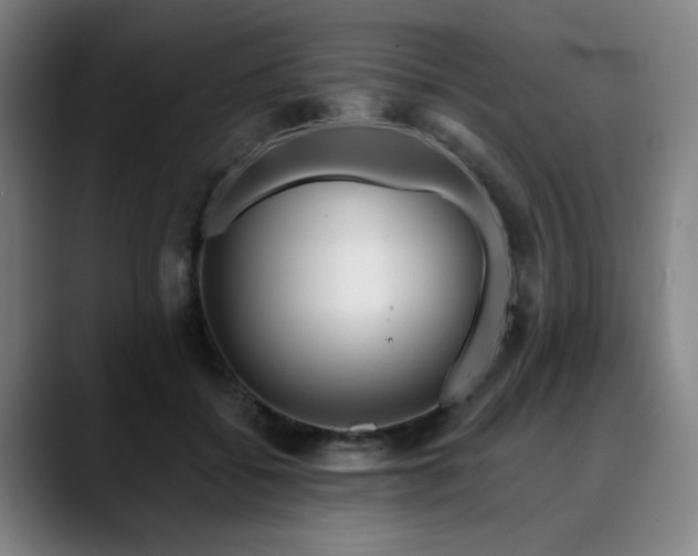 X0000090610556200707171419