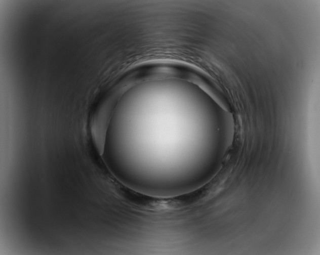 X0000090610558200707171419