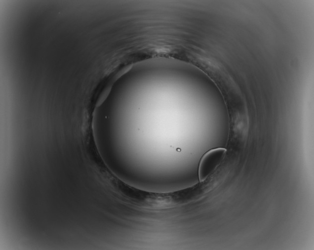 X0000090610559200707171419
