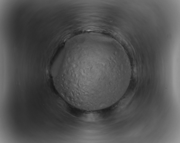 X0000090610561200707171419