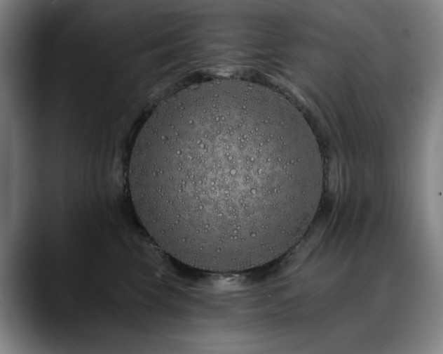 X0000090610569200707171419