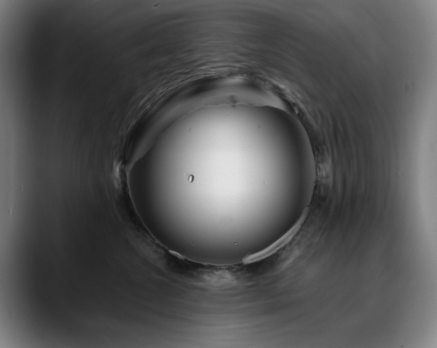 X0000090610572200707171419