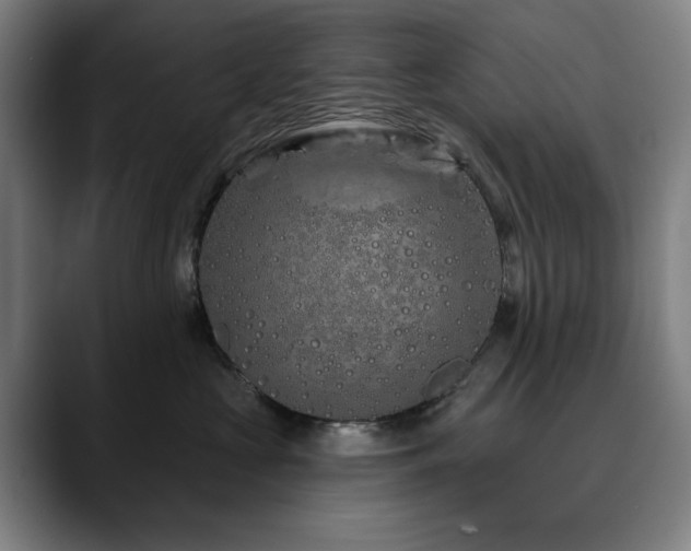 X0000090610573200707171419