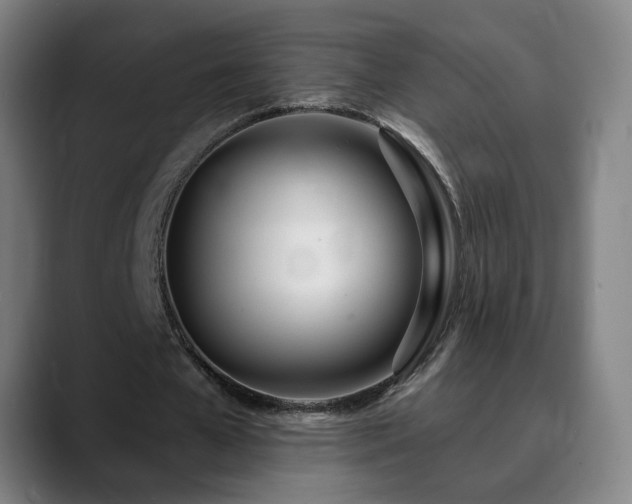 X0000090610577200707171418