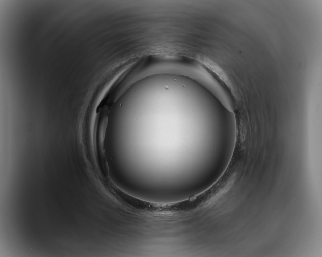 X0000090610581200707171418