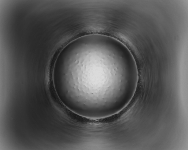 X0000090610582200707171418