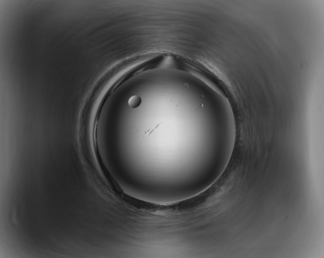 X0000090610584200707171418