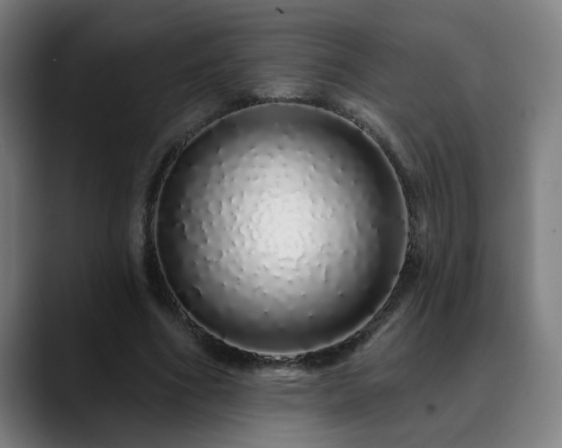 X0000090610586200707171418