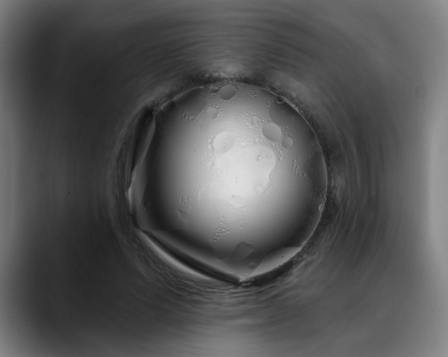 X0000090610591200707171418