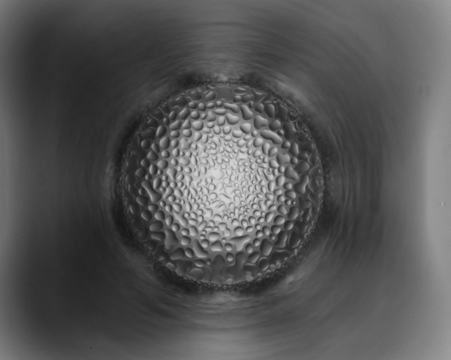 X0000090610594200707171418