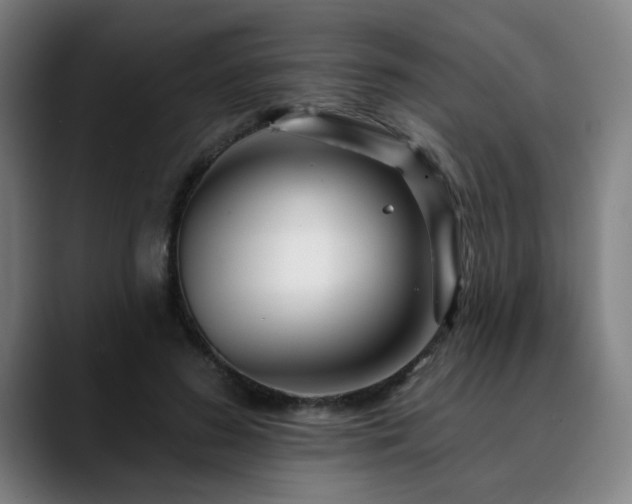 X0000090610596200707171418