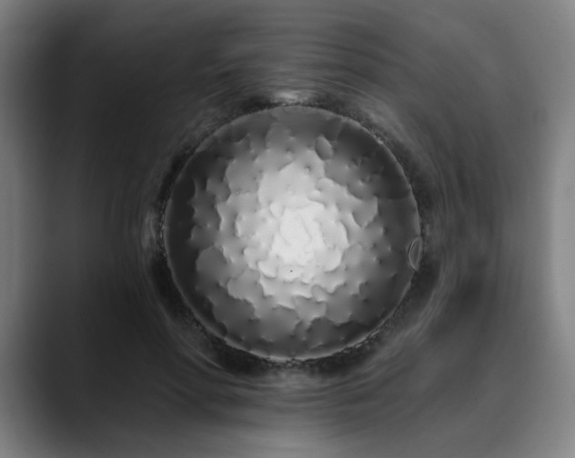 X0000090610598200707171418