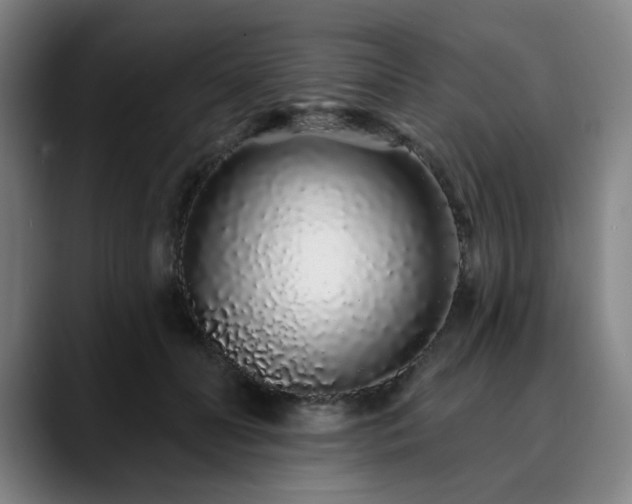 X0000090610606200707171418