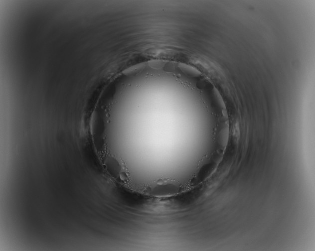 X0000090610607200707171418