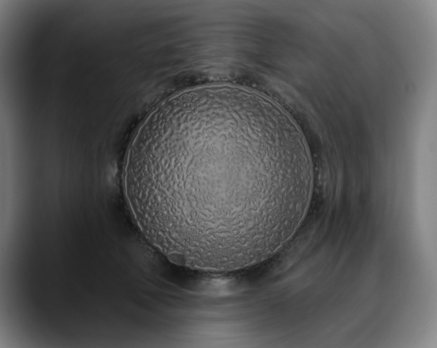 X0000090610610200707171418