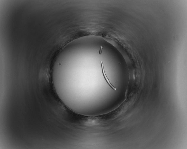 X0000090610612200707171418