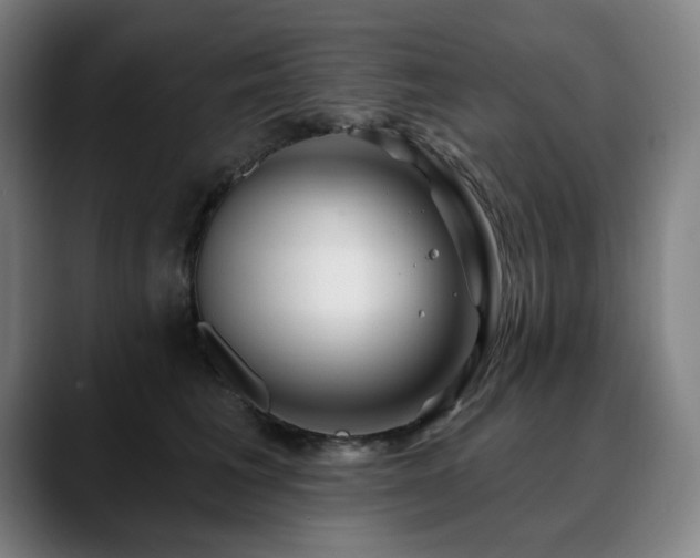 X0000090610613200707171418
