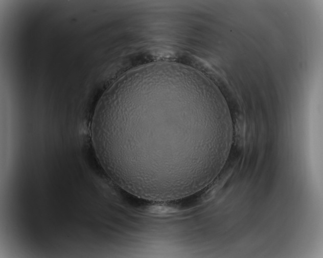 X0000090610614200707171418