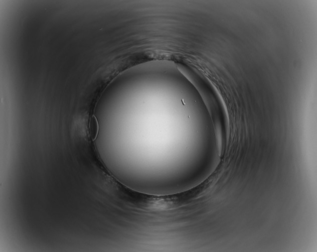 X0000090610616200707171418