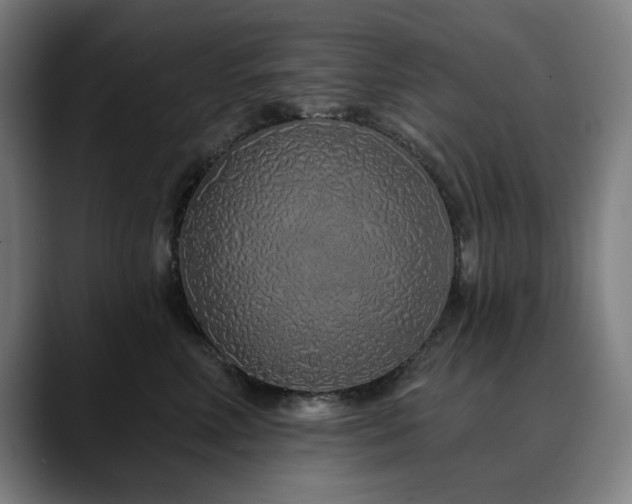 X0000090610618200707171418